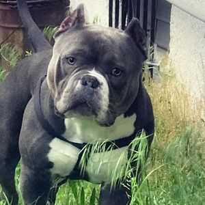 Meet your Posher, Carlos